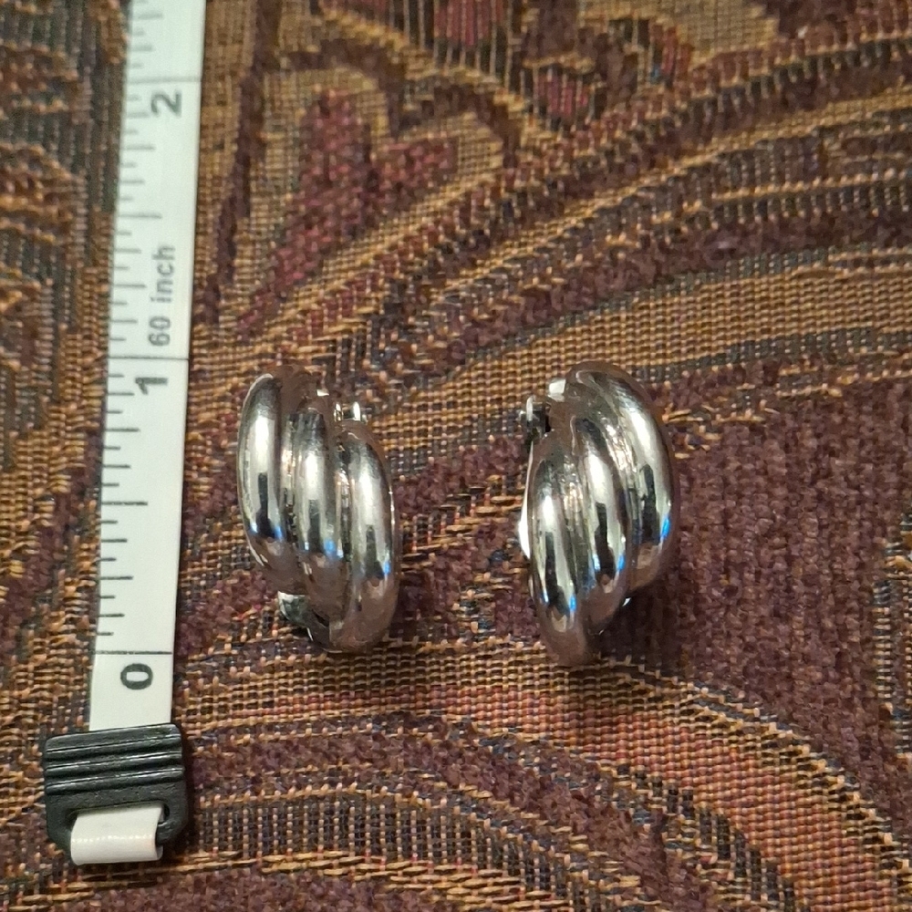 Elegant Silver Hoop Earrings